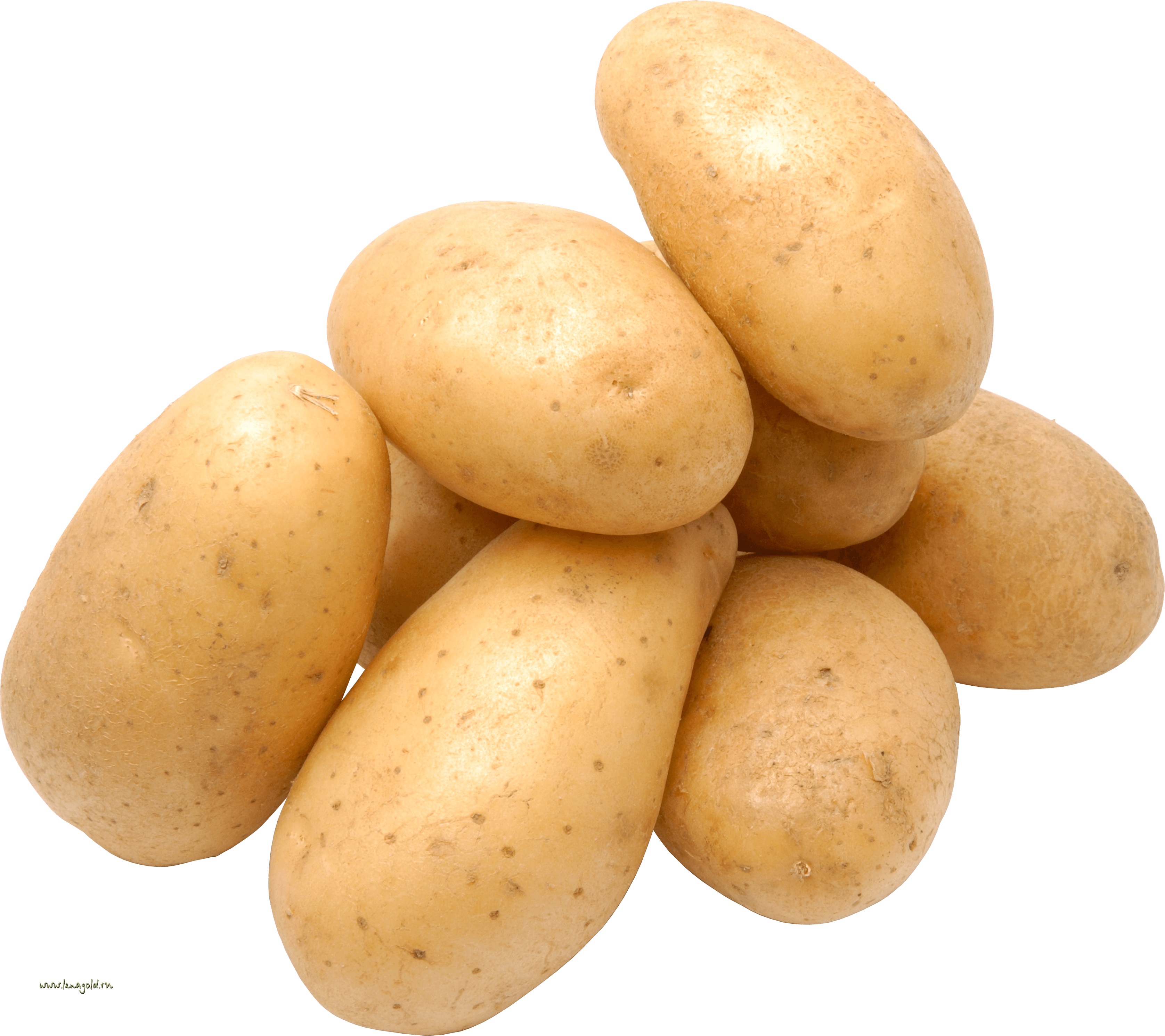Potato Transparent PNG Image