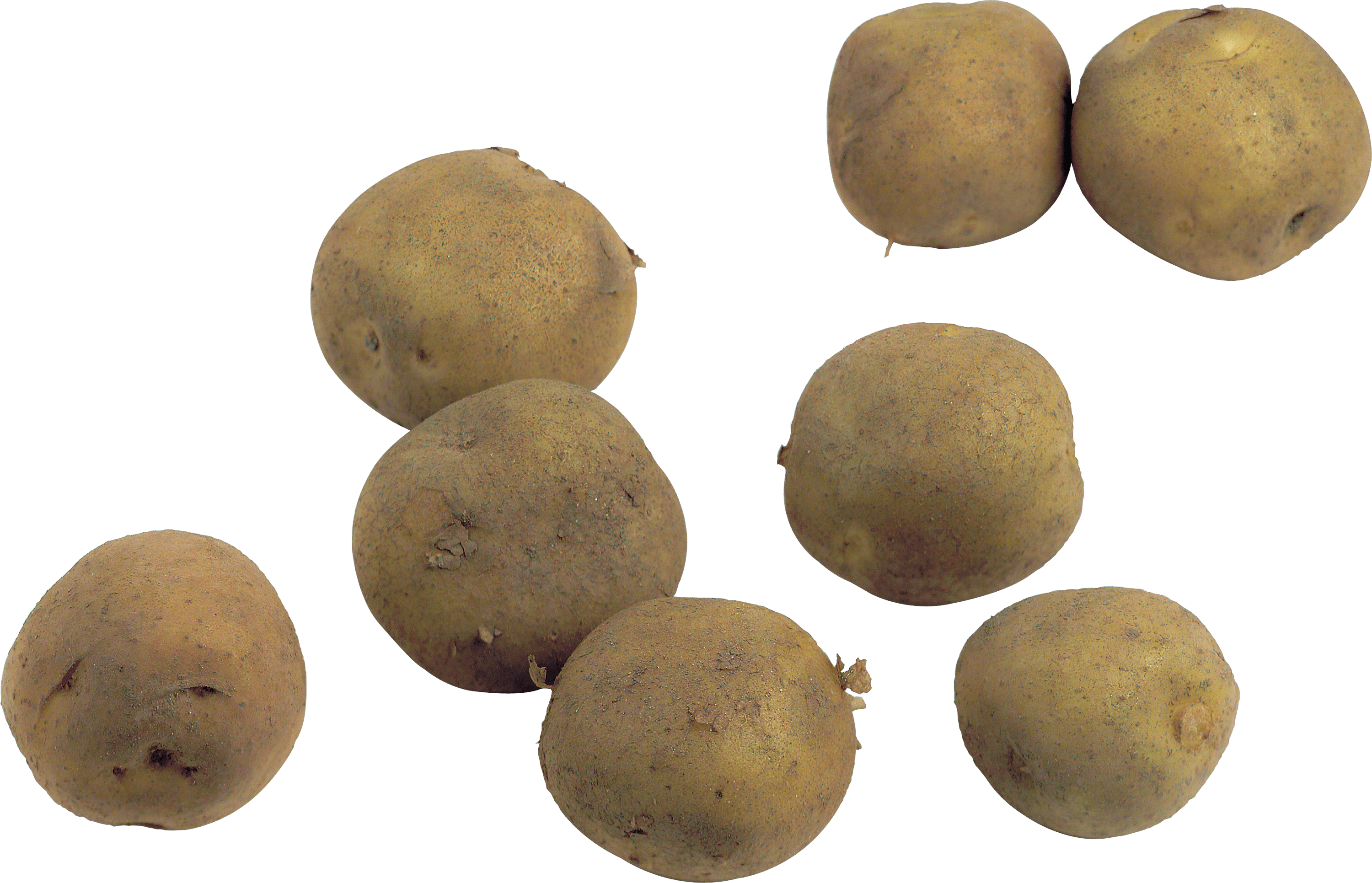 Potato Transparent PNG Image