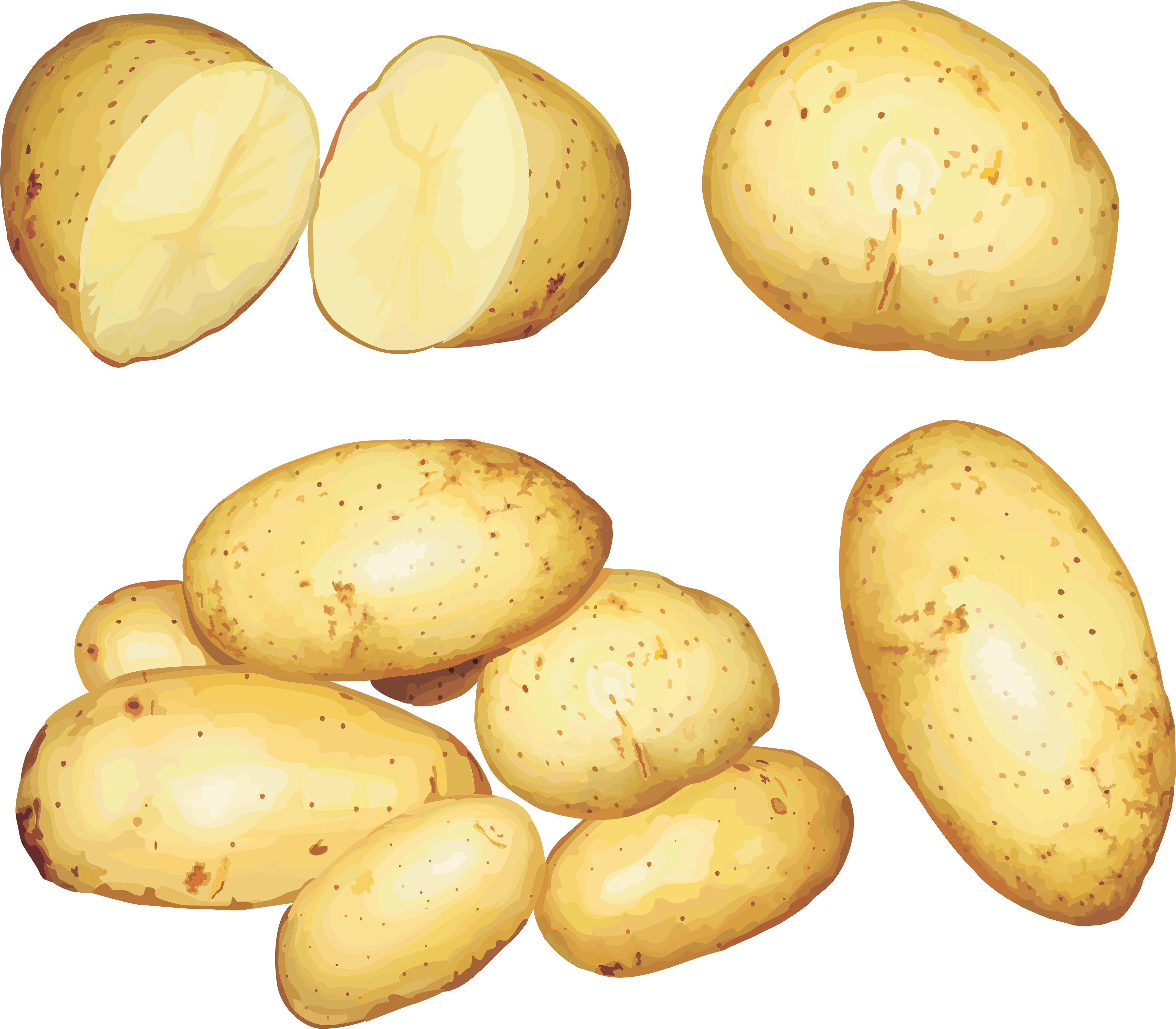 Potato Transparent PNG Image