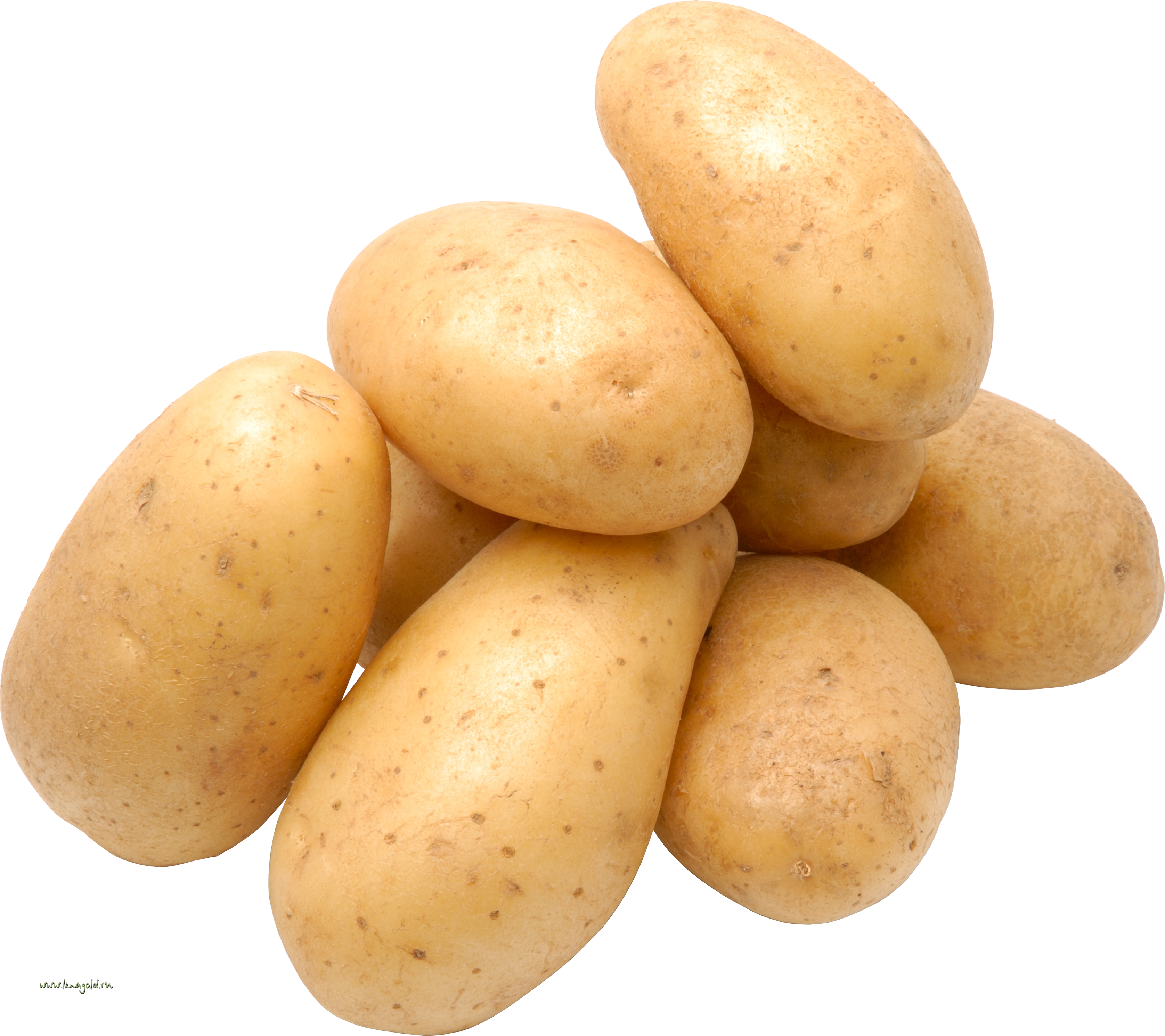 Potato Transparent PNG Image