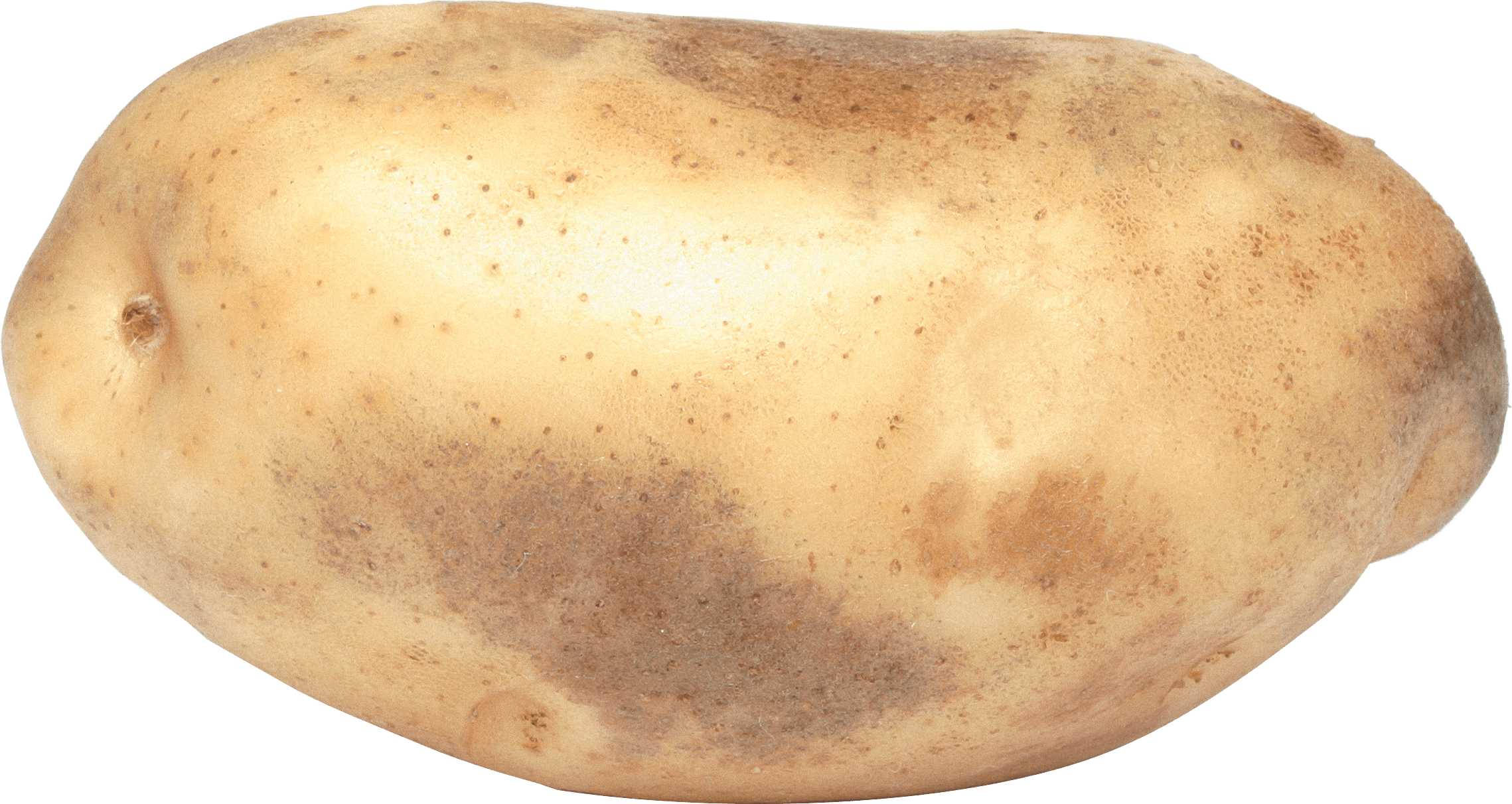 Potato Transparent PNG Image
