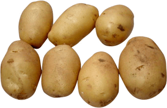 Potato Transparent PNG Image