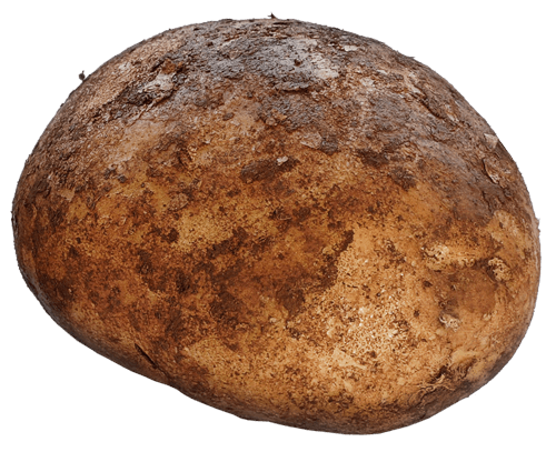 Potato Transparent PNG Image
