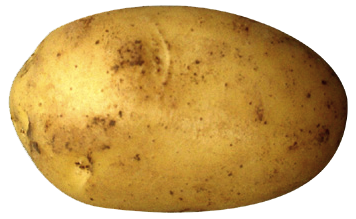 Potato Transparent PNG Image