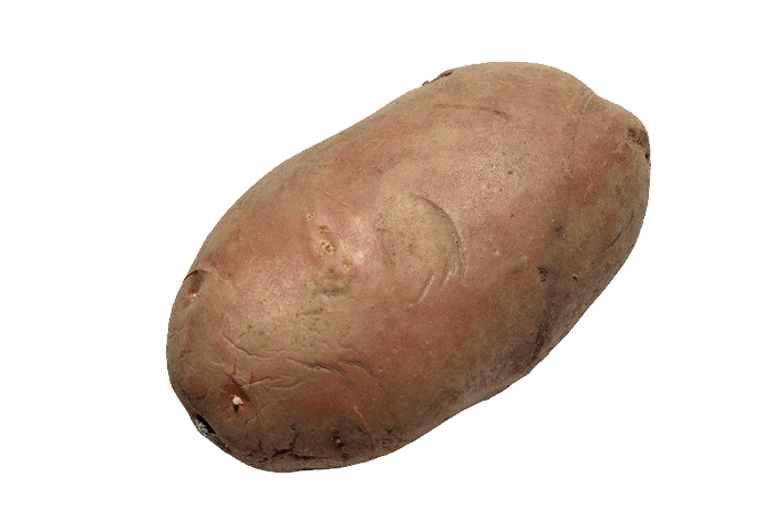 Potato Transparent PNG Image