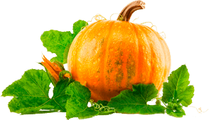Pumpkin Transparent PNG Image