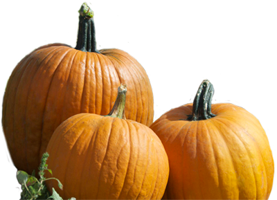 Real Pumpkin Transparent PNG Image