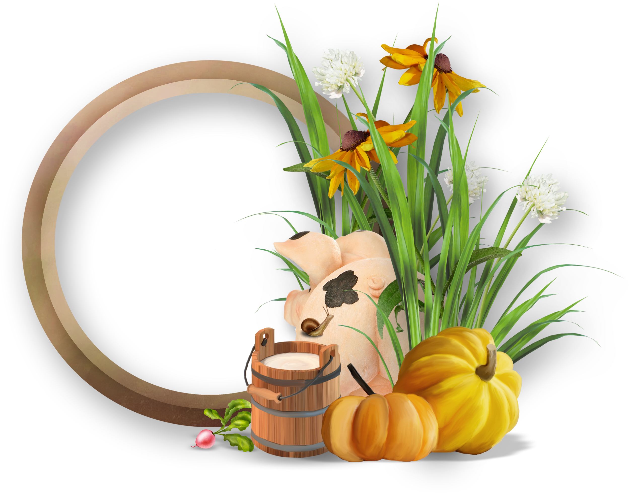 Frame Round Transparent PNG Image