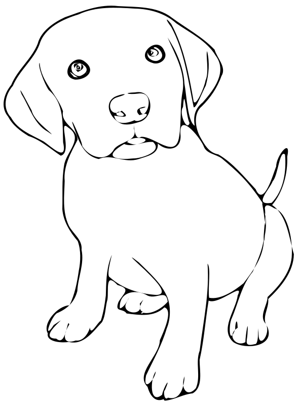 And White Puppy Black Transparent PNG Image