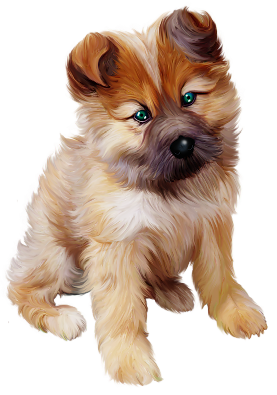 Puppy Transparent PNG Image
