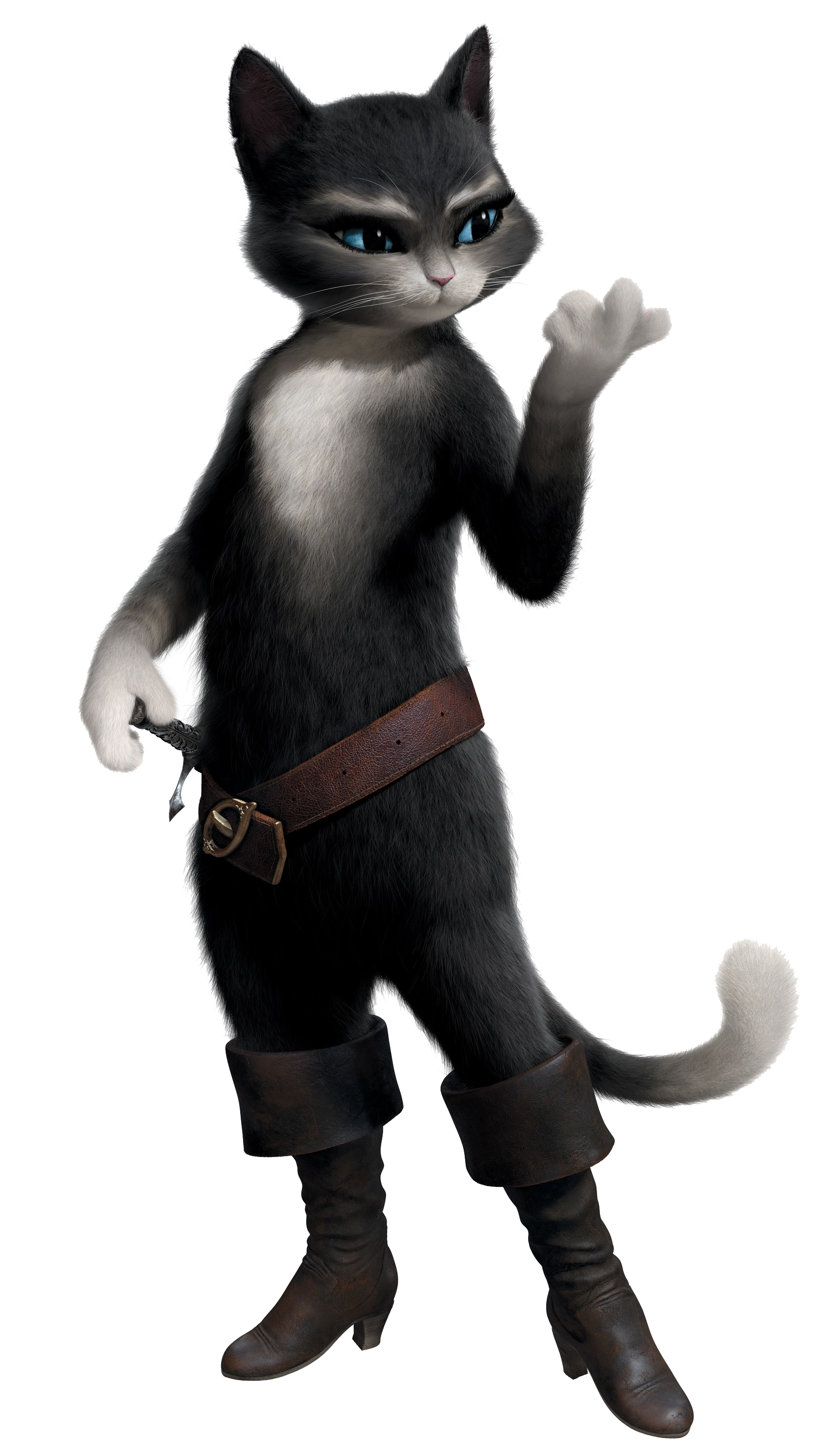 Puss In Boots Transparent PNG Image