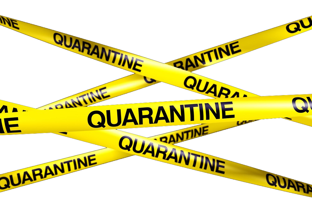 Quarantine Transparent PNG Image