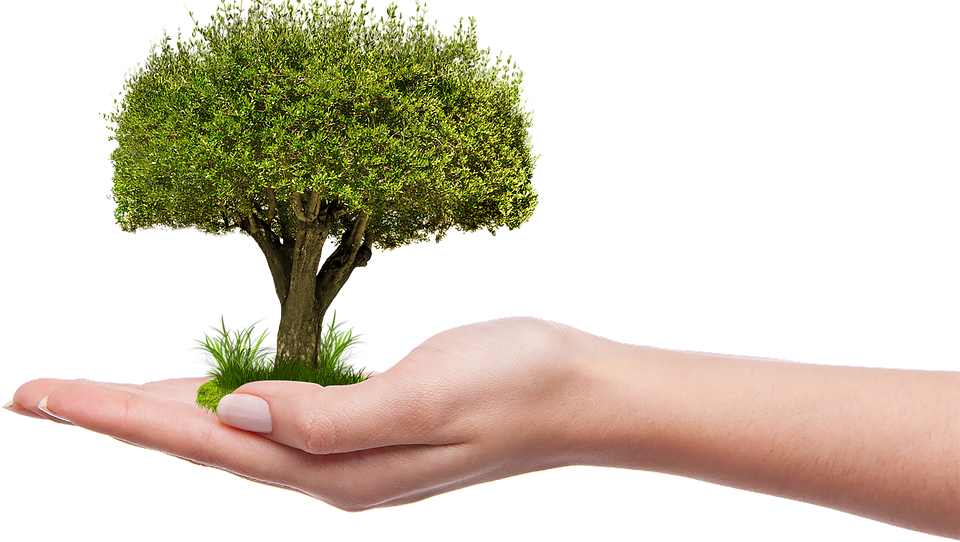 Grow Transparent PNG Image