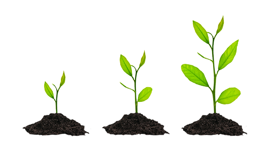 Grow Transparent PNG Image