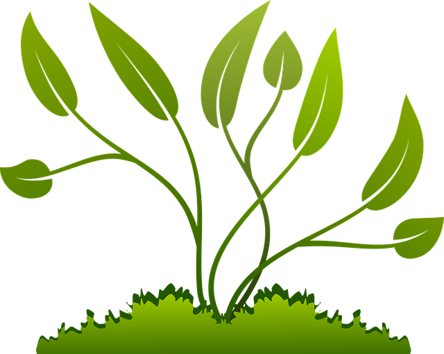 Grow File Transparent PNG Image