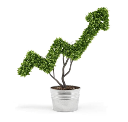 Grow Transparent PNG Image