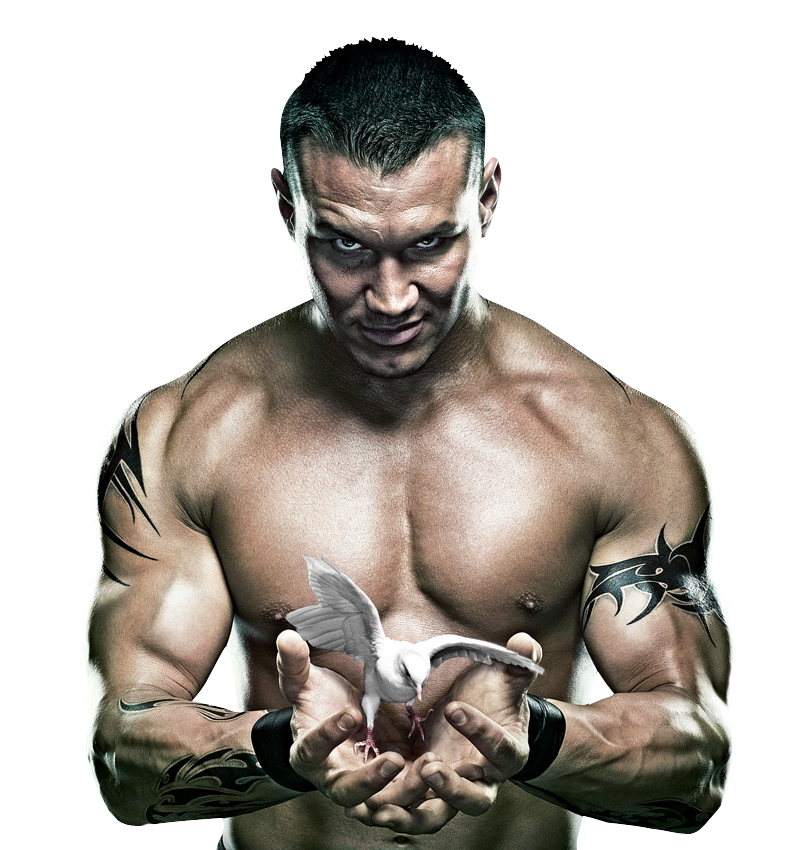 Randy Orton Transparent PNG Image