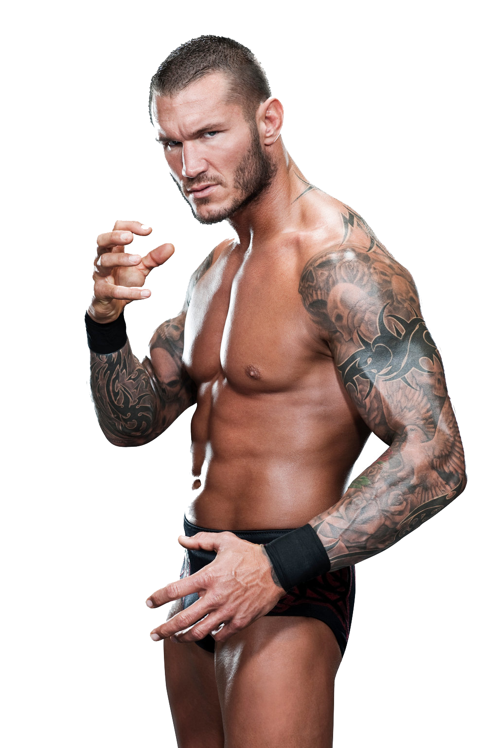 Randy Orton File Transparent PNG Image