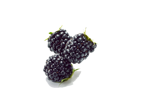 Black Raspberries Transparent PNG Image