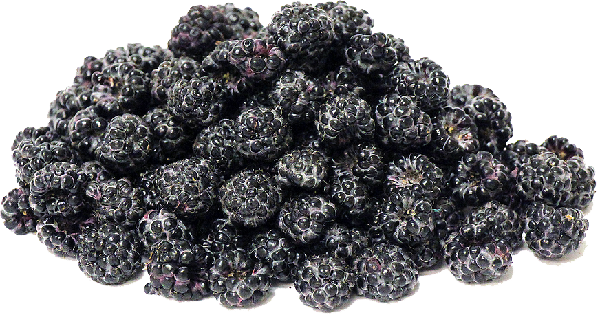 Black Raspberries Transparent PNG Image
