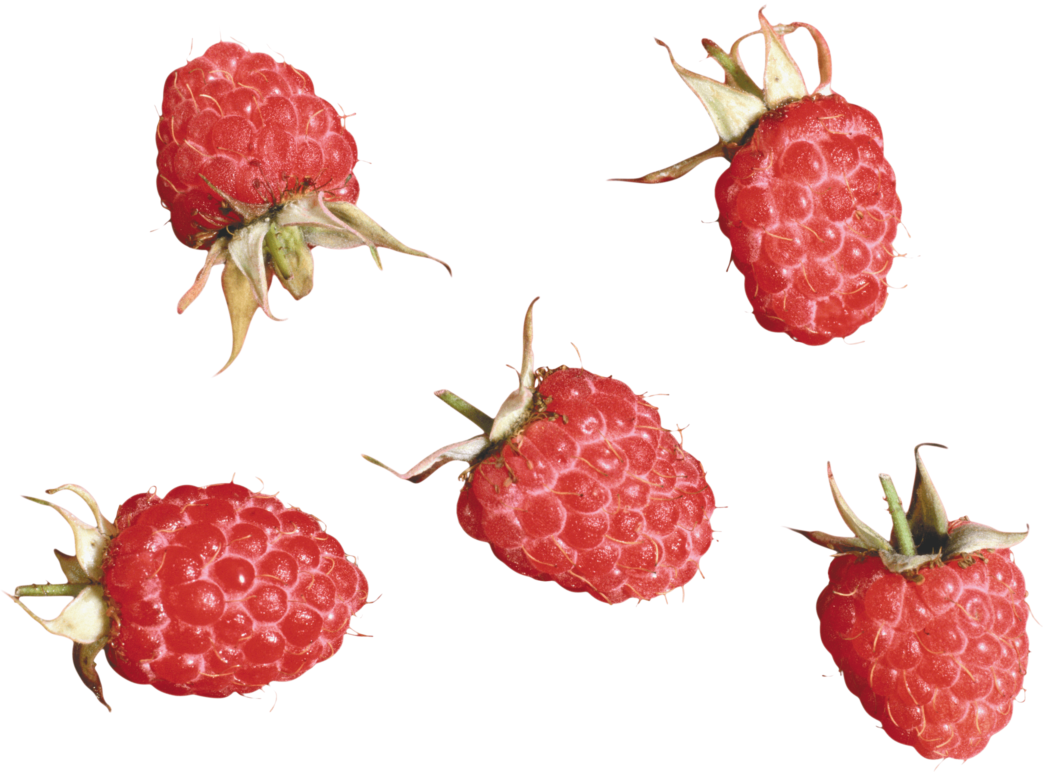 Rraspberry Transparent PNG Image