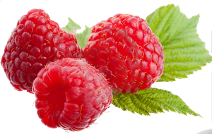 Raspberry File Transparent PNG Image