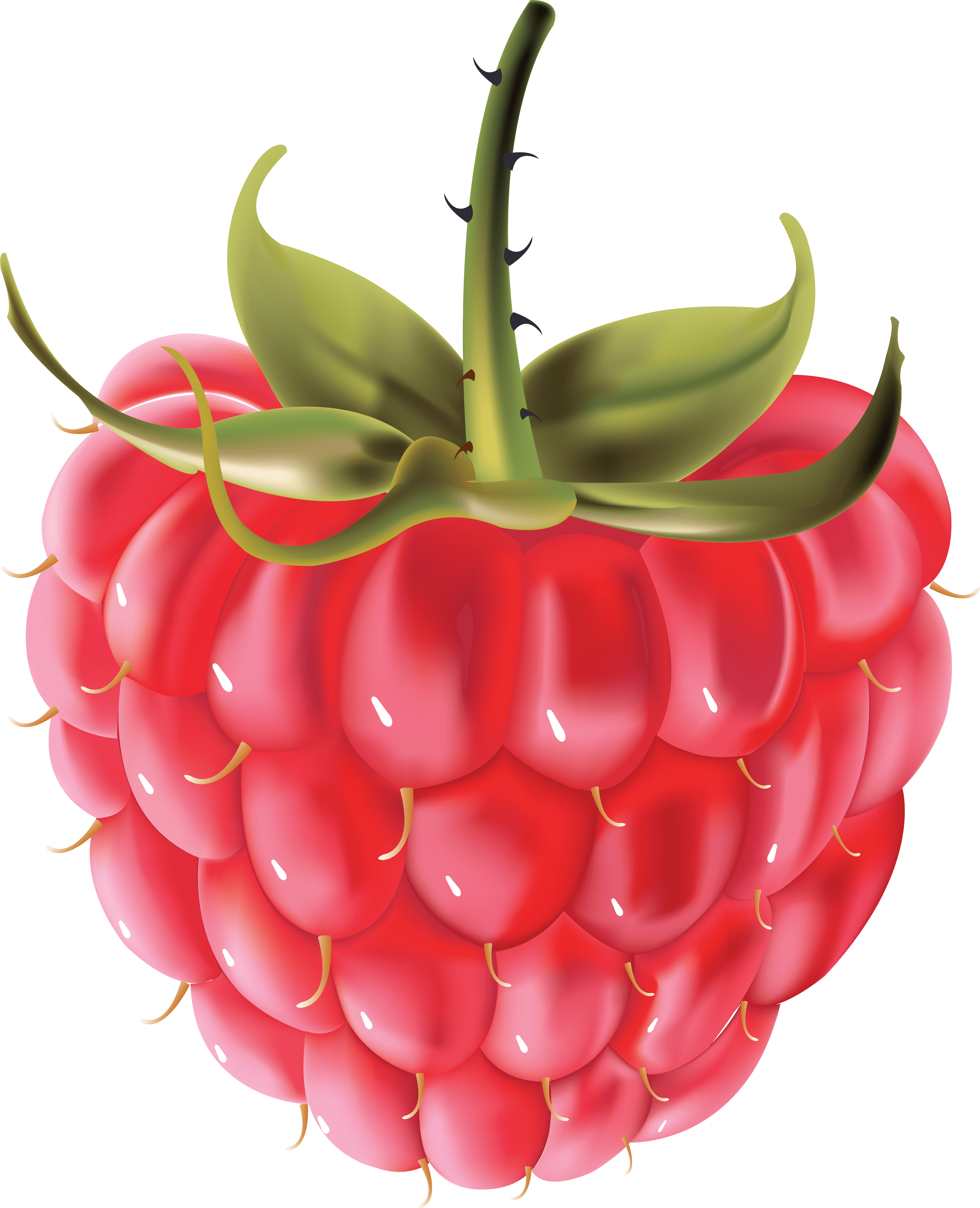 Rraspberry Transparent PNG Image