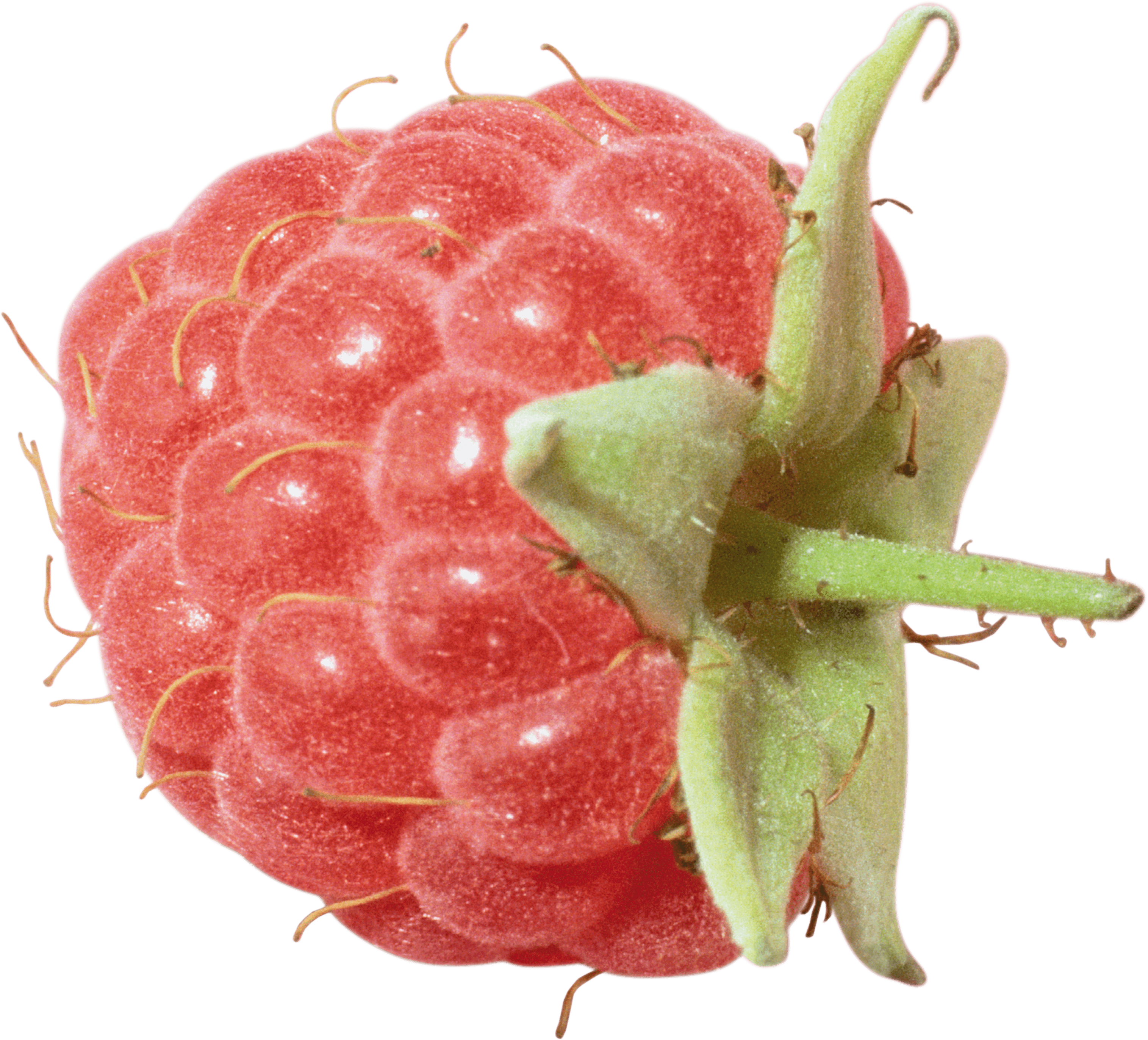 Rraspberry Transparent PNG Image