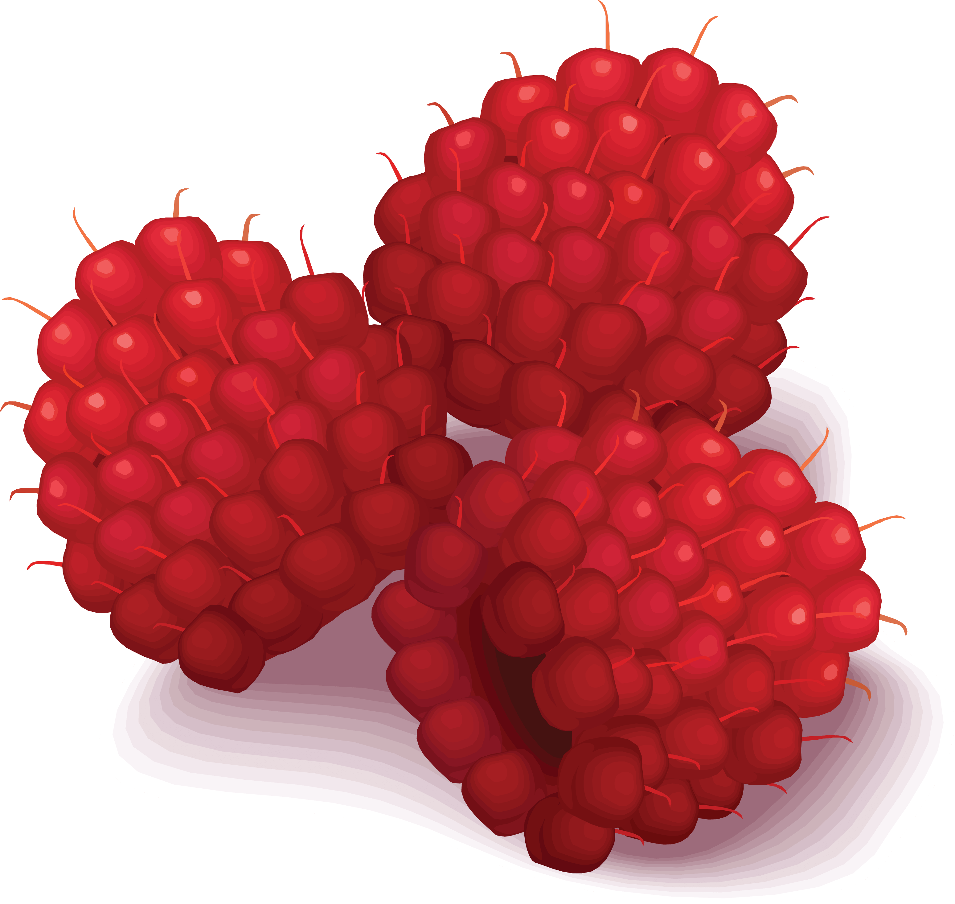 Rraspberry Transparent PNG Image