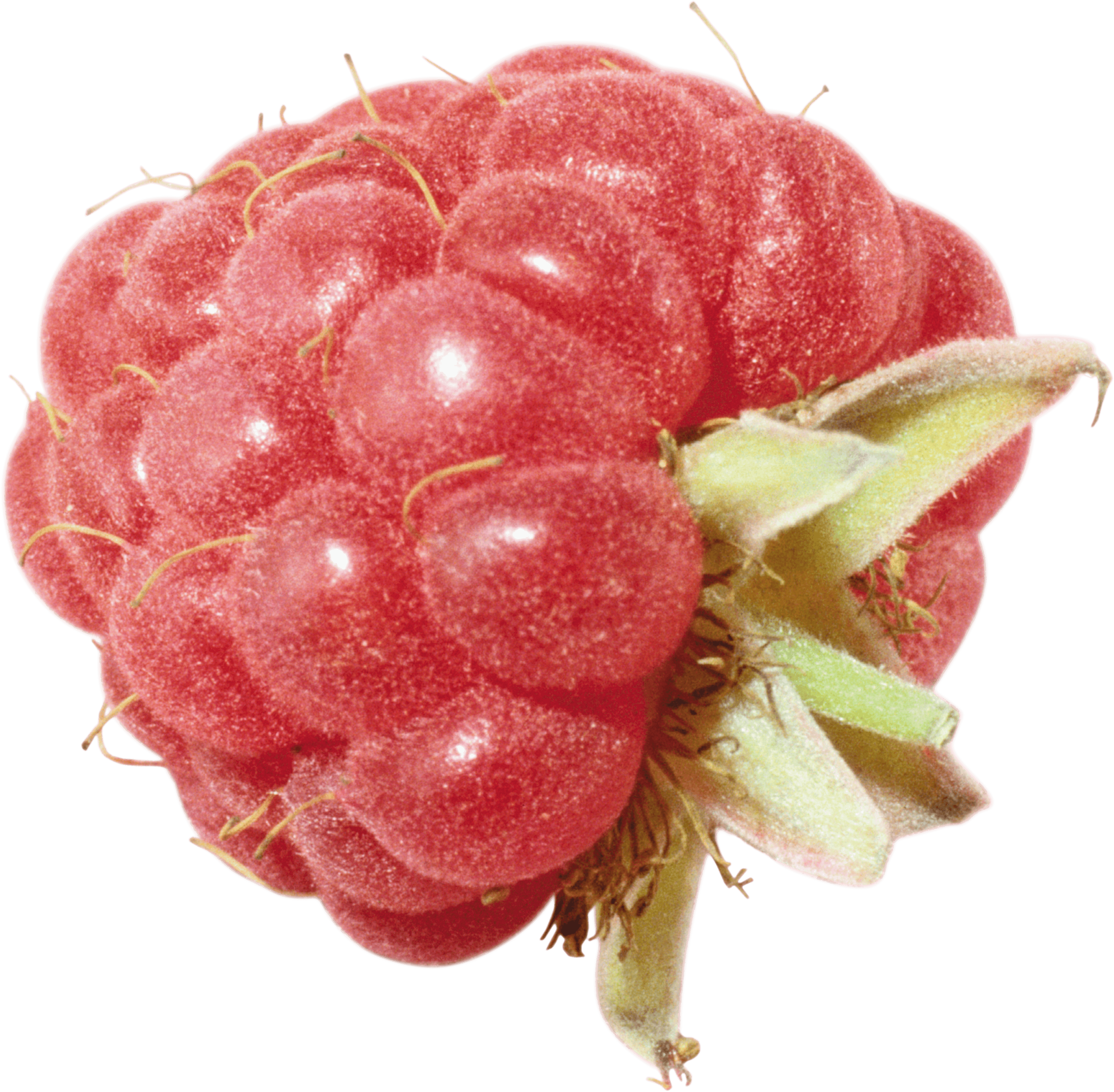 Rraspberry Transparent PNG Image
