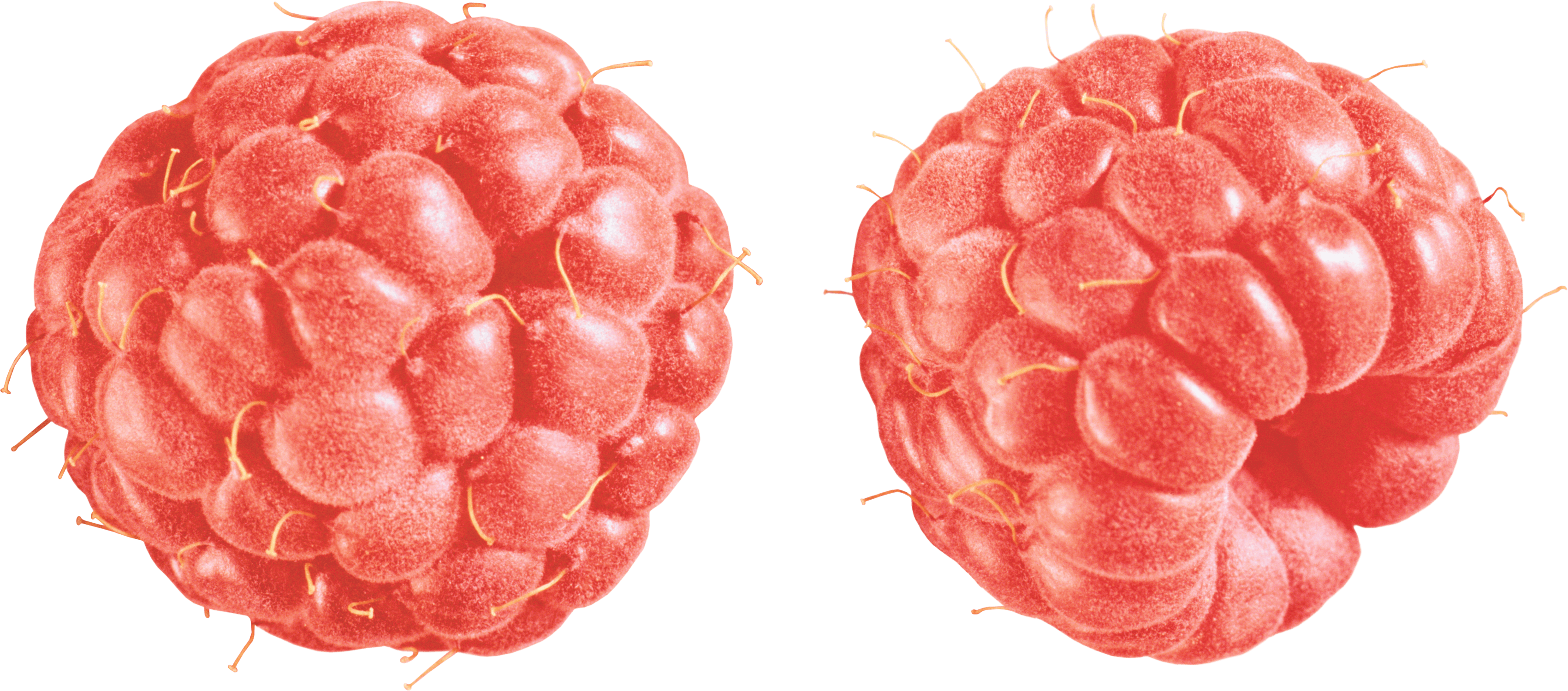 Rraspberry Transparent PNG Image