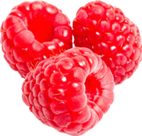 Rraspberry Transparent PNG Image