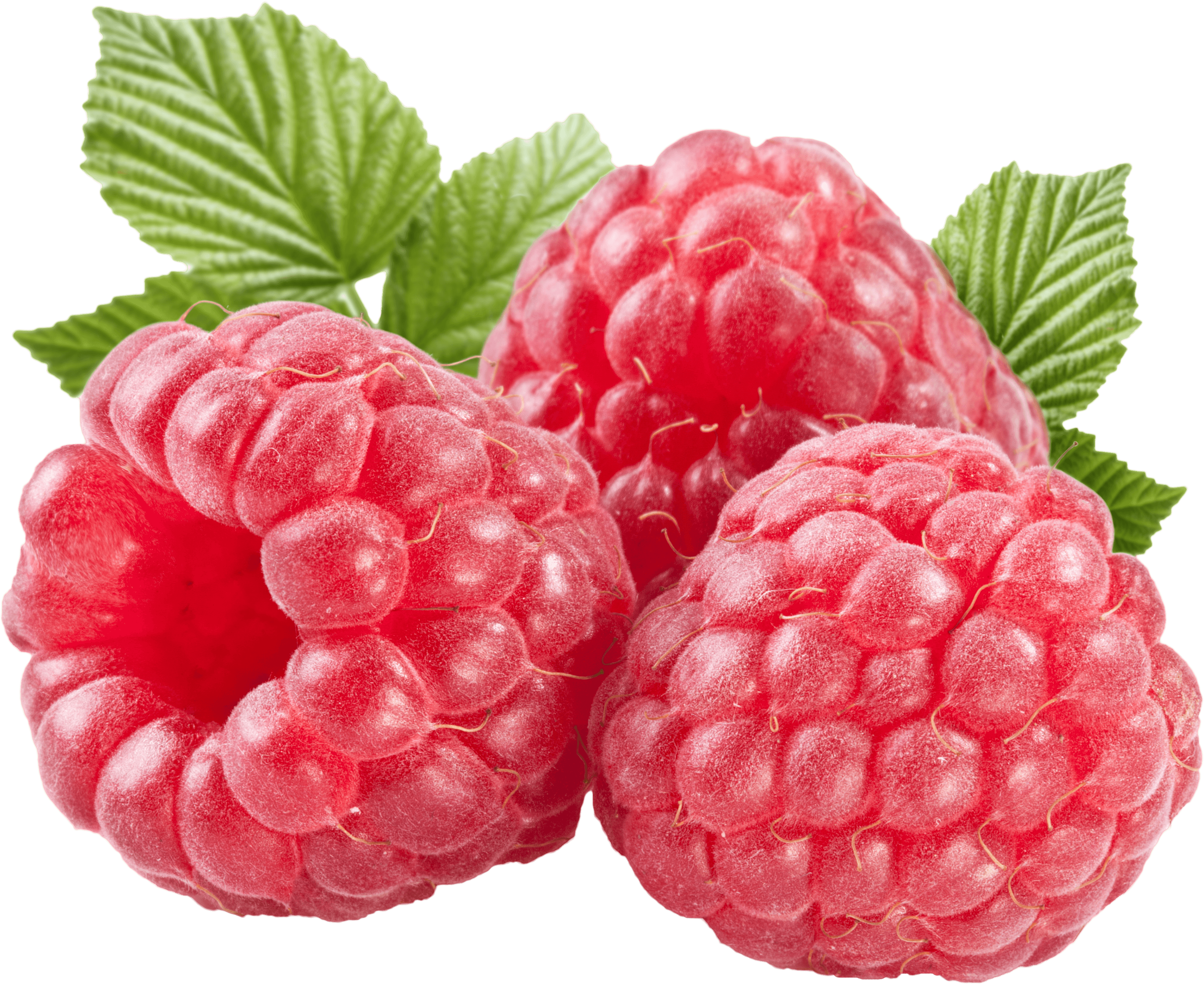 Rraspberry Transparent PNG Image