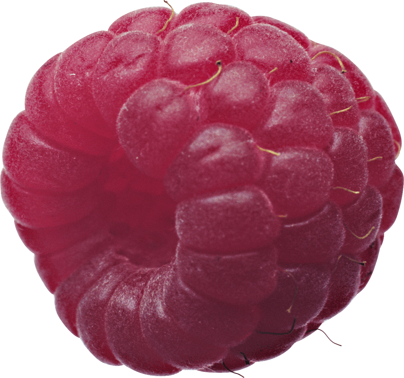 Rraspberry Transparent PNG Image