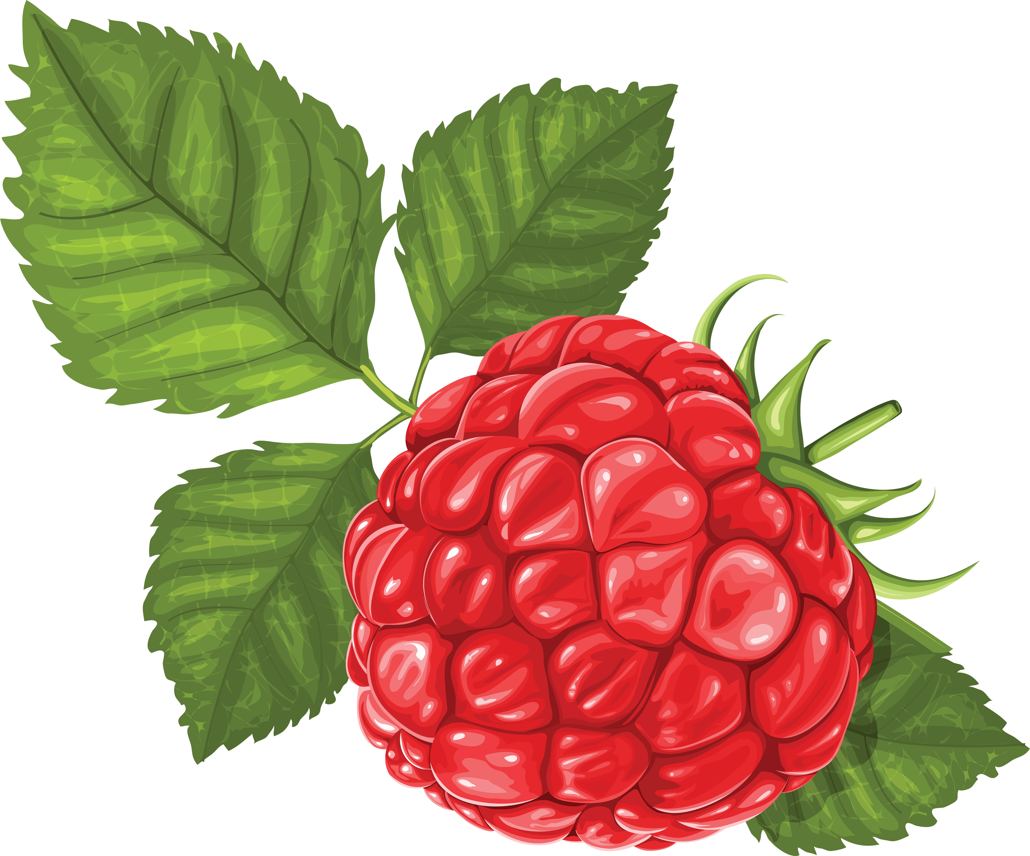 Rraspberry Transparent PNG Image