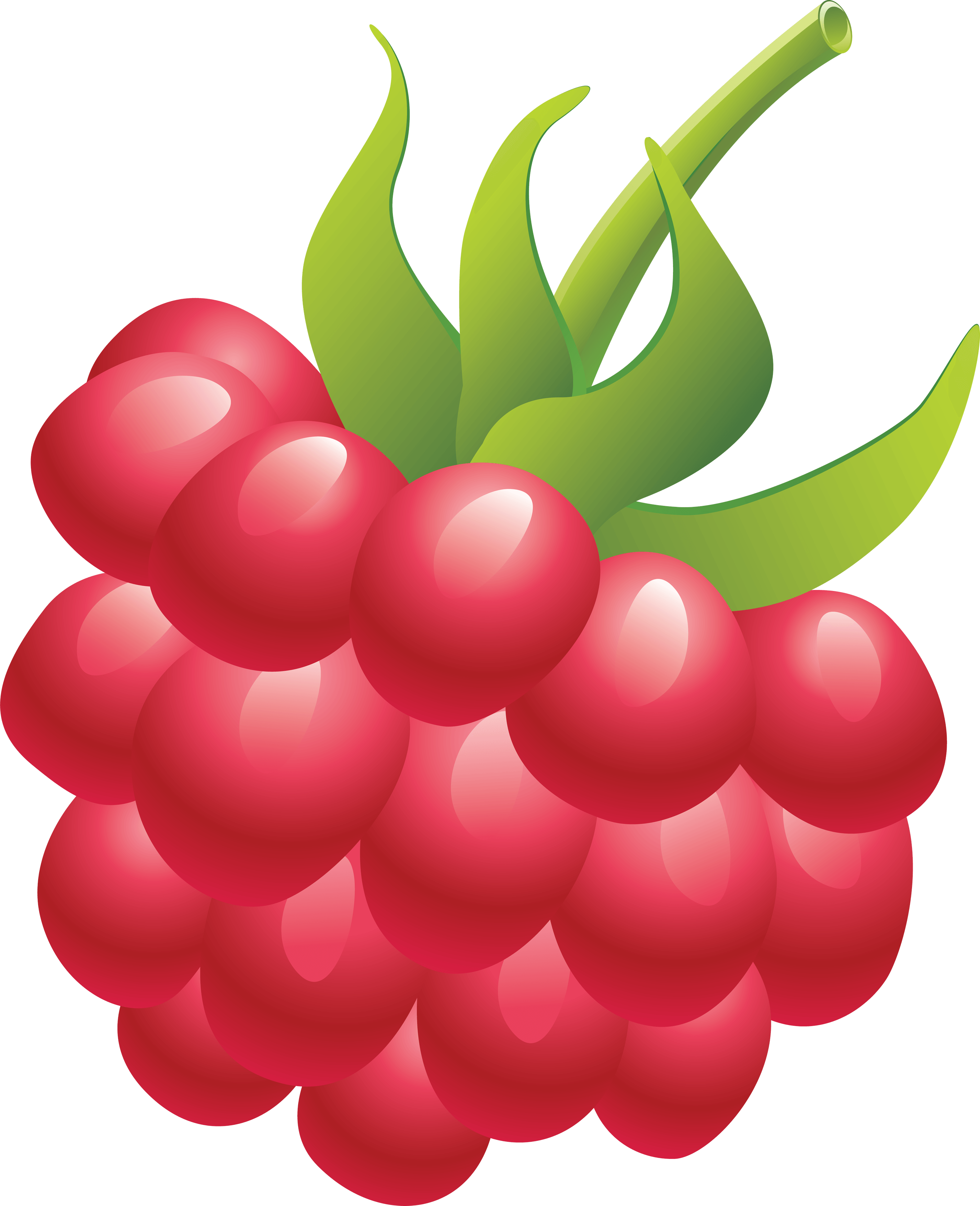 Rraspberry Transparent PNG Image