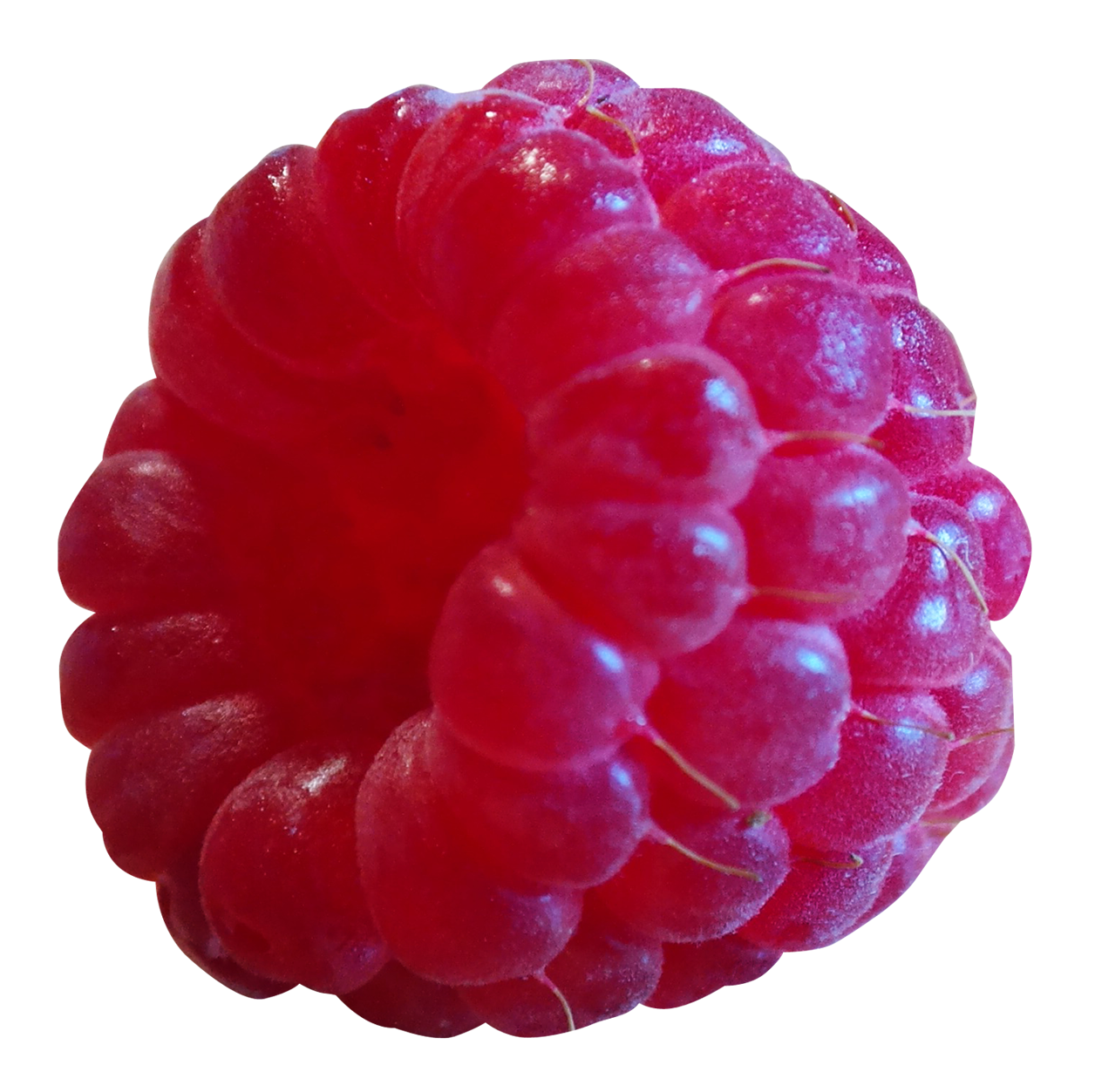 Raspberry Transparent PNG Image