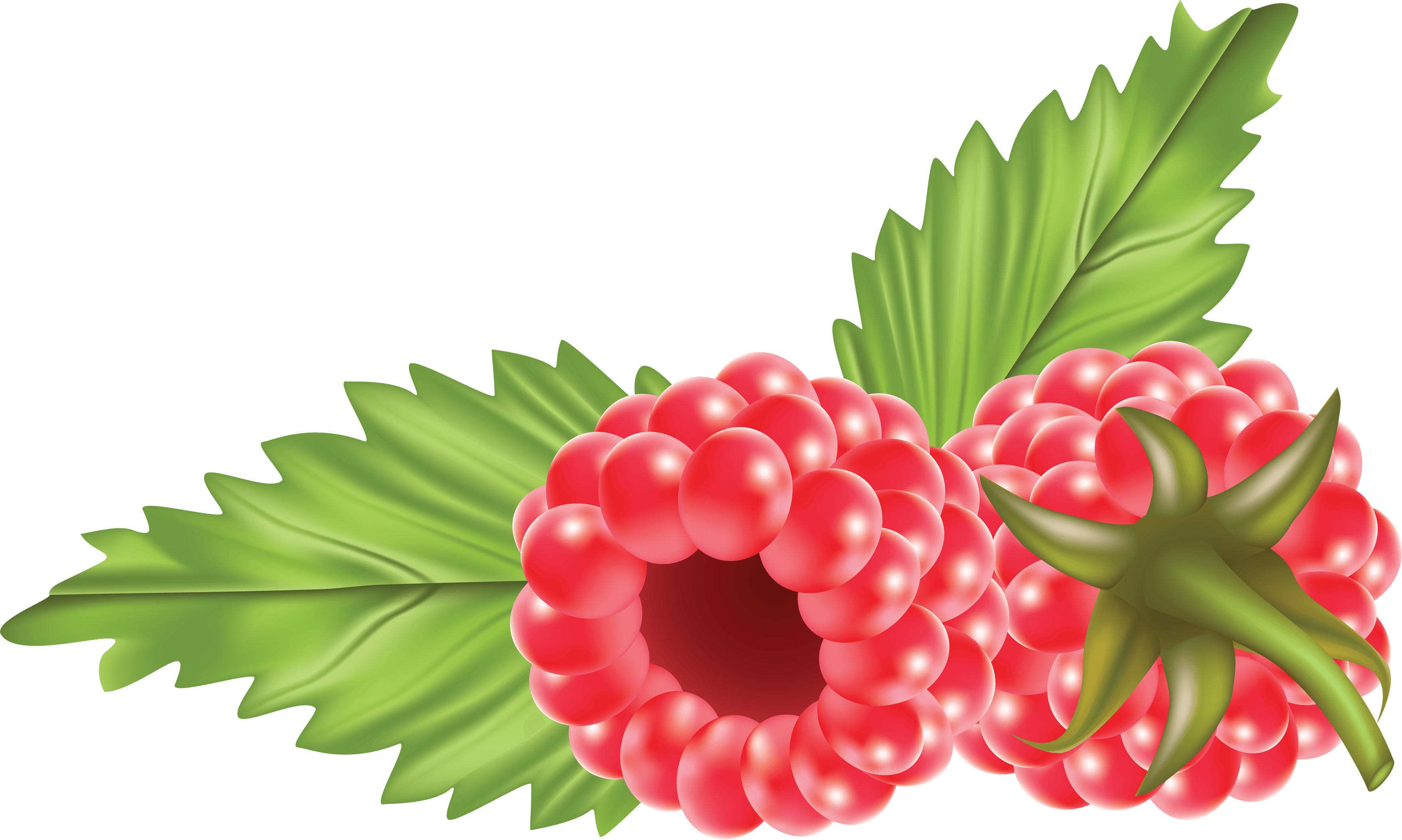 Rraspberry Transparent PNG Image