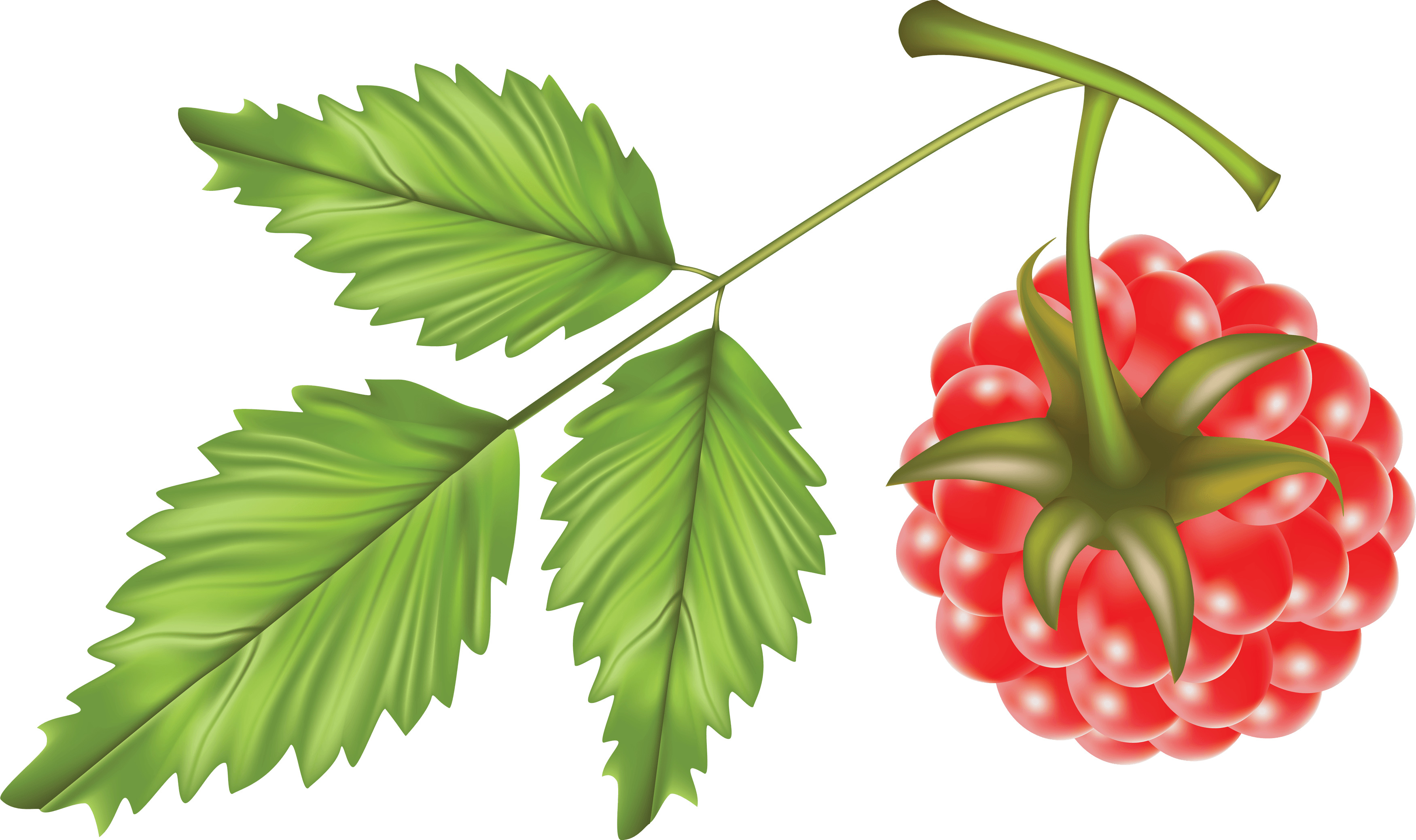 Rraspberry Transparent PNG Image