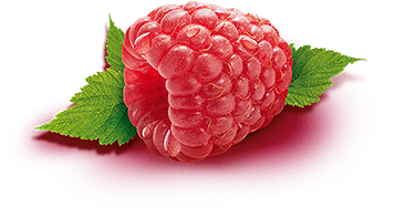Rraspberry Transparent PNG Image