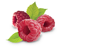 Raspberry Transparent PNG Image