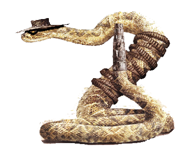 Rattlesnake Transparent PNG Image