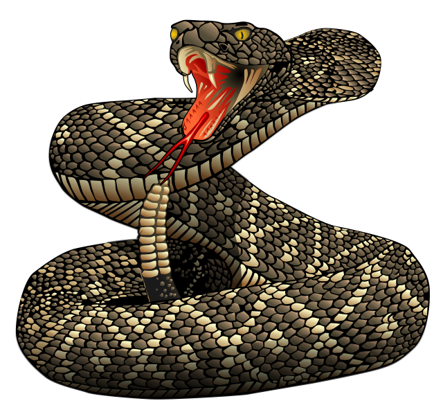 Rattlesnake File Transparent PNG Image