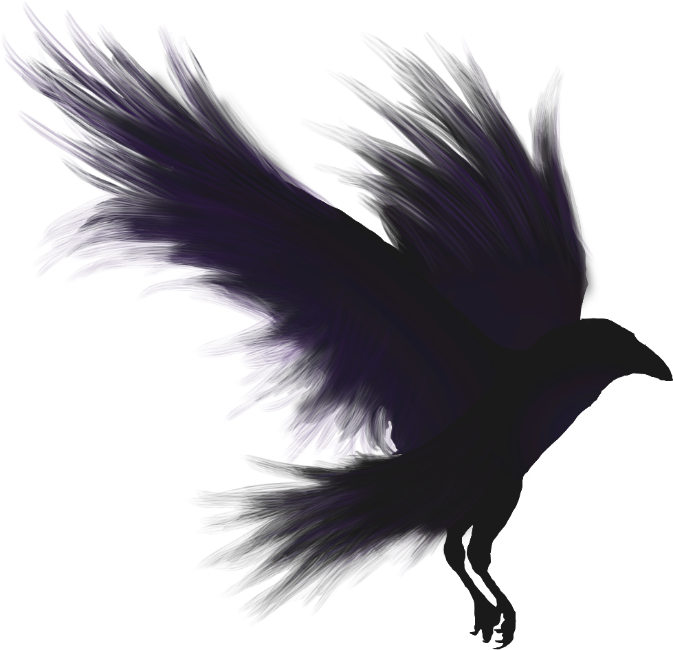 Pic Bird Raven Transparent PNG Image