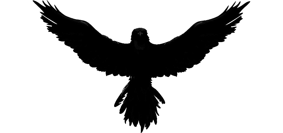 Bird Raven File Transparent PNG Image