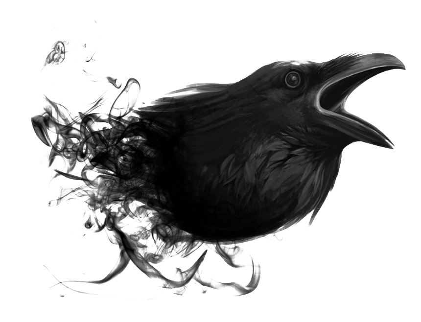 Raven Transparent PNG Image
