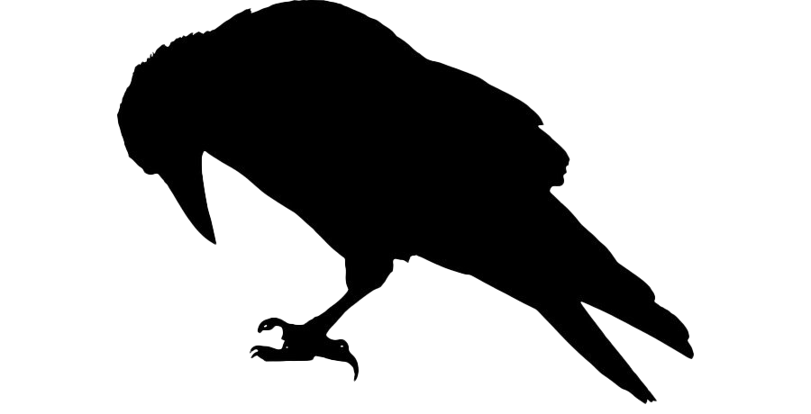 Raven Transparent PNG Image