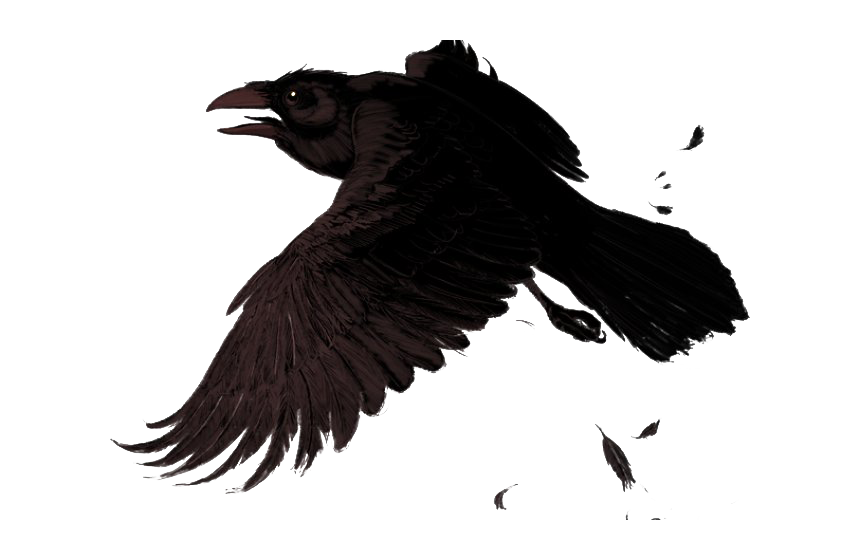 Pic Raven Transparent PNG Image