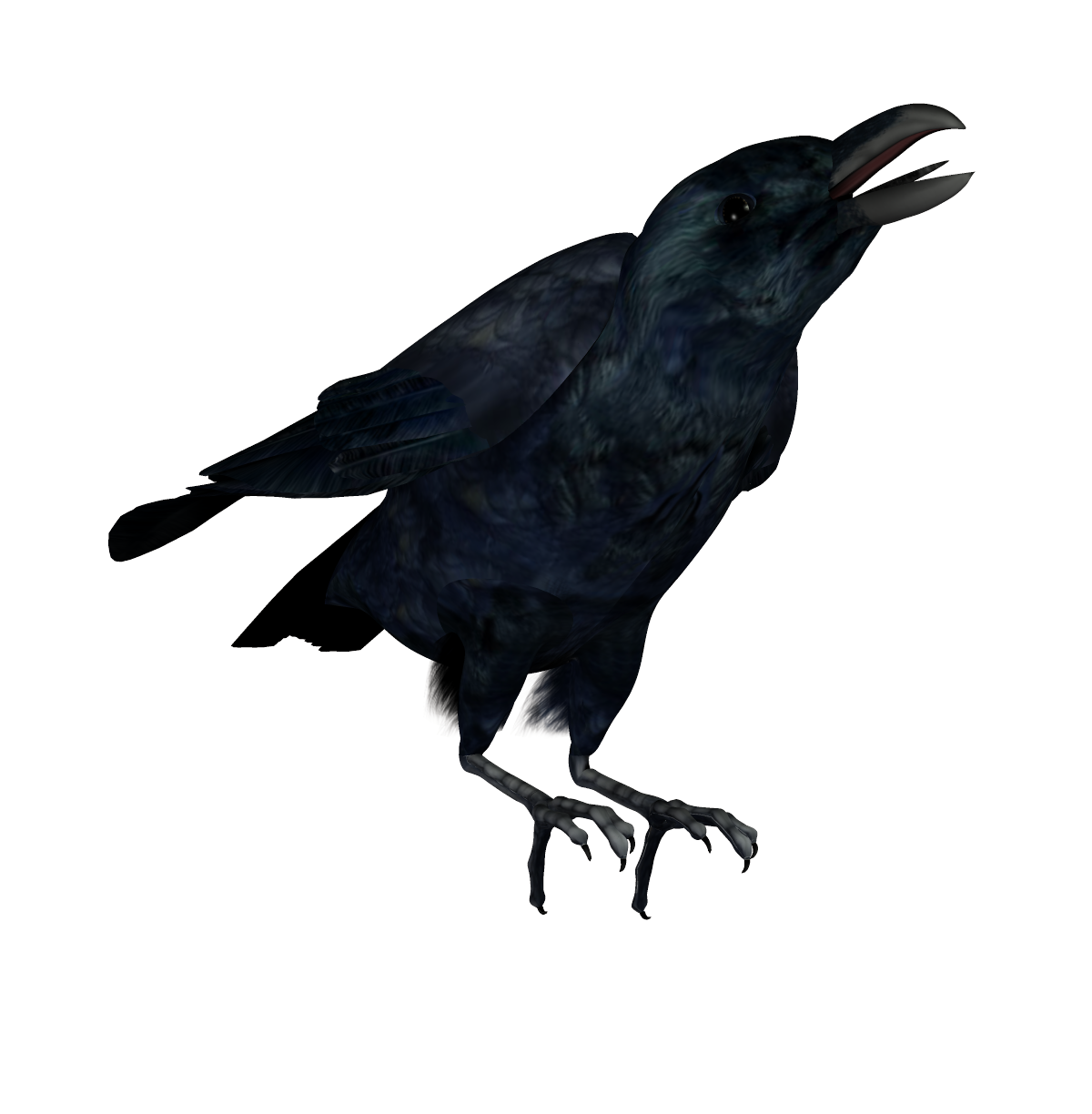 Raven Transparent PNG Image