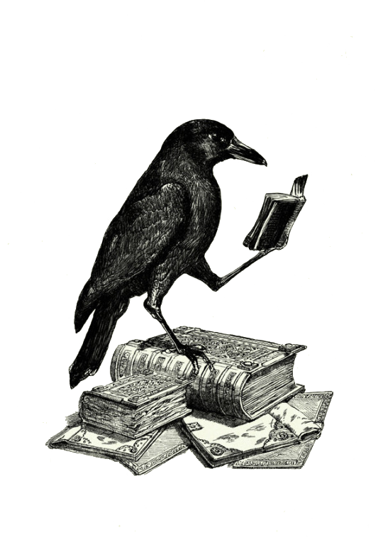 Raven Transparent PNG Image